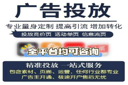百度移动端应用推广策略探讨